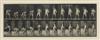 MUYBRIDGE, EADWEARD (1830-1904) Diverse group of 125 plates from the seminal Animal Locomotion,